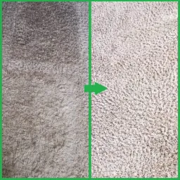 Dywan z wyraźnym podziałem na część wyczyszczoną i zabrudzoną, zielona strzałka wskazuje kierunek czyszczenia.