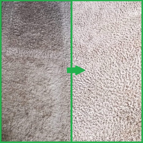 Dywan z wyraźnym podziałem na część wyczyszczoną i zabrudzoną, zielona strzałka wskazuje kierunek czyszczenia.