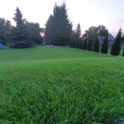 Rozległy trawnik z niską trawą, rzędem strzyżonych cyprysów i kilkoma kulistymi dekoracjami ogrodowymi w oddali, otoczony drzewami.