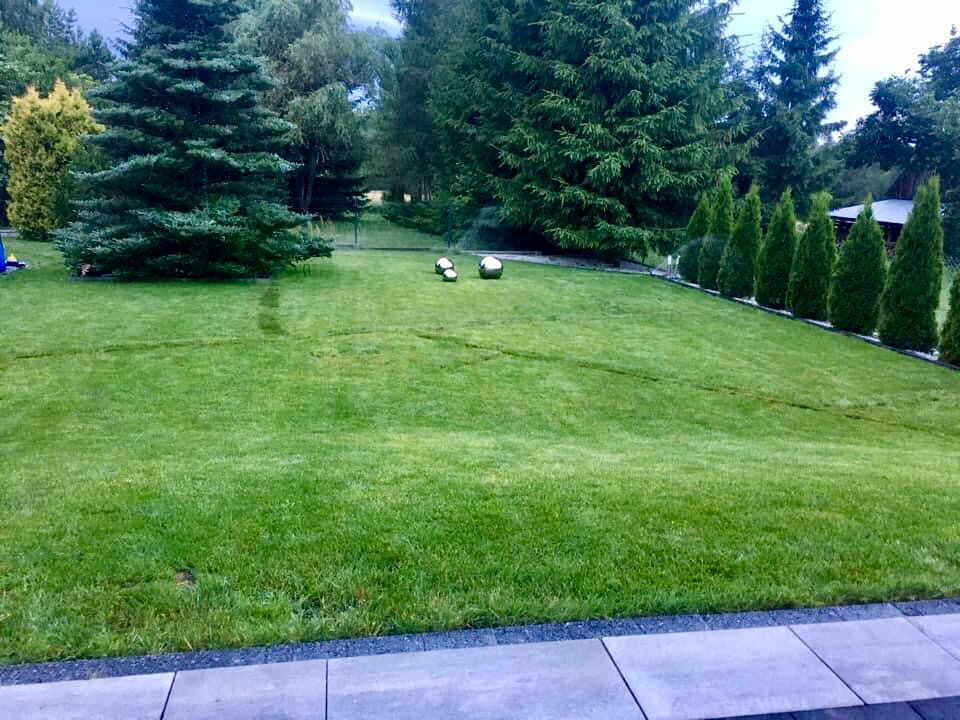 Zadbany trawnik w Białymstoku z dekoracyjnymi metalowymi kulami, świeżo po koszeniu, z widocznymi śladami po kosiarce i rzędem tuj przy granicy działki.