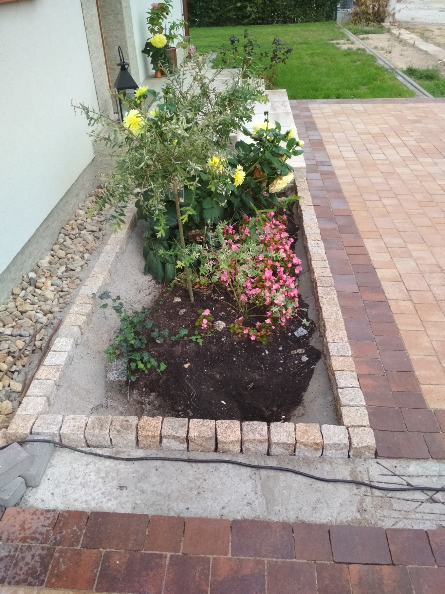 Obrzeże rabaty kwiatowej z kostki granitowej, widok z góry na rabatę z żółtymi i różowymi kwiatami, obok ułożona kostka brukowa w dwóch odcieniach.