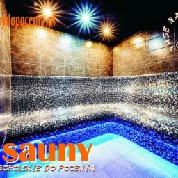 Wnętrze sauny wyłożone mozaiką z podświetleniem LED, widoczne logo firmy na ścianie i stronie internetowej na górze zdjęcia.