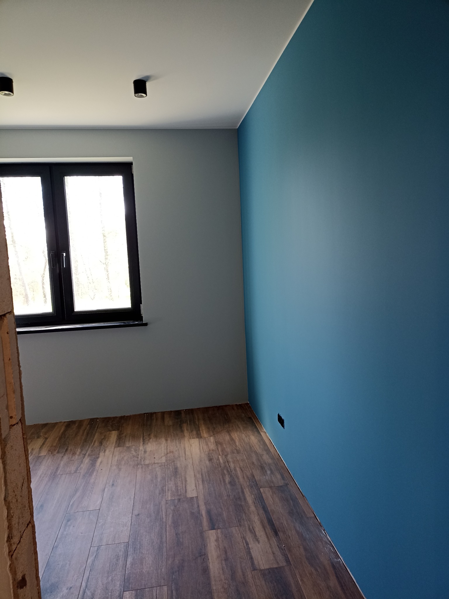 Pomalowane na dwa kolory wnętrze pokoju z drewnopodobną podłogą, widoczne czarne okno i sufitowe lampy.