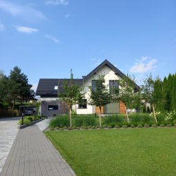 PRODECO BEATA BACH - Nowoczesny dom z zadbanym trawnikiem i świeżo posadzonymi drzewami, zabezpieczonymi podporami. Ścieżka z kostki prowadzi do wiaty garażowej z samochodem.