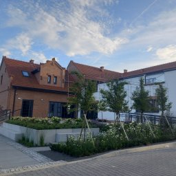 PRODECO BEATA BACH - Nowoczesny ogród przy budynku z cegły i białej elewacji. Geometryczne rabaty z białymi kwiatami, młodymi drzewkami i chodnikiem z kostki.