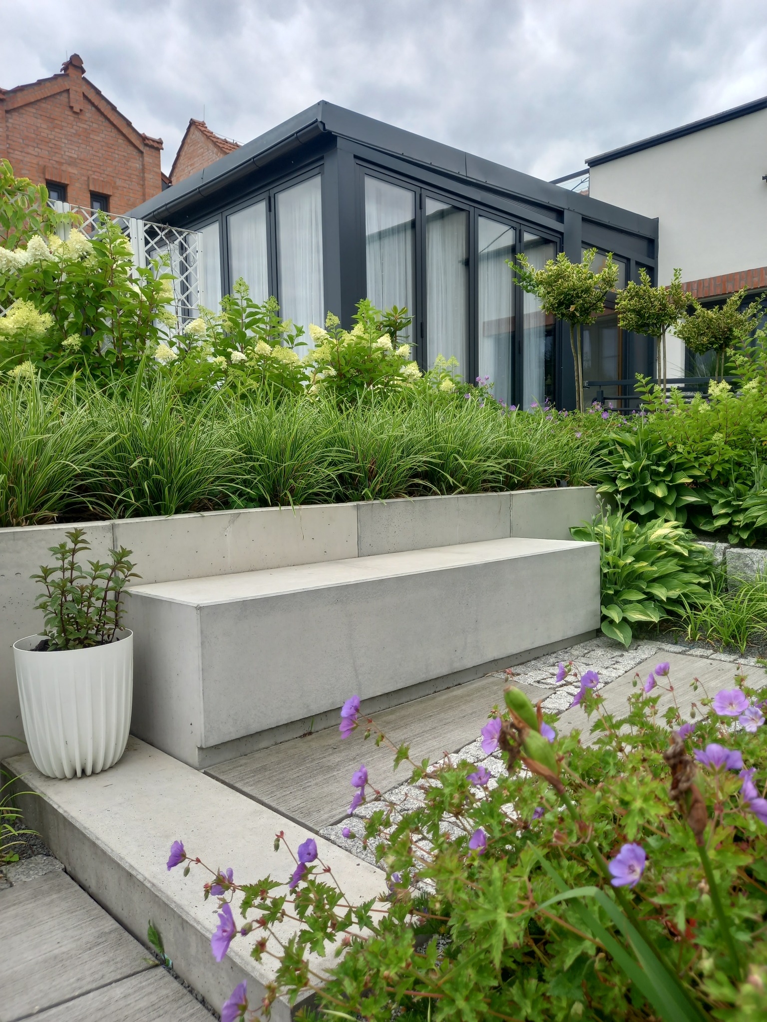 Nowoczesny ogród z betonową ławką, trawami ozdobnymi i kwitnącymi geranium. W tle przeszklona oranżeria i budynki mieszkalne.