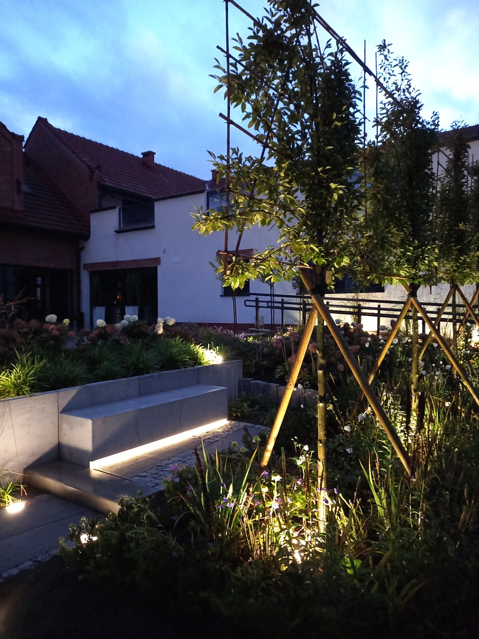 Oświetlony ogród po zmroku z nowoczesnymi betonowymi schodami, nasadzeniami i młodymi drzewami podpartymi bambusowymi tyczkami, na tle budynków.