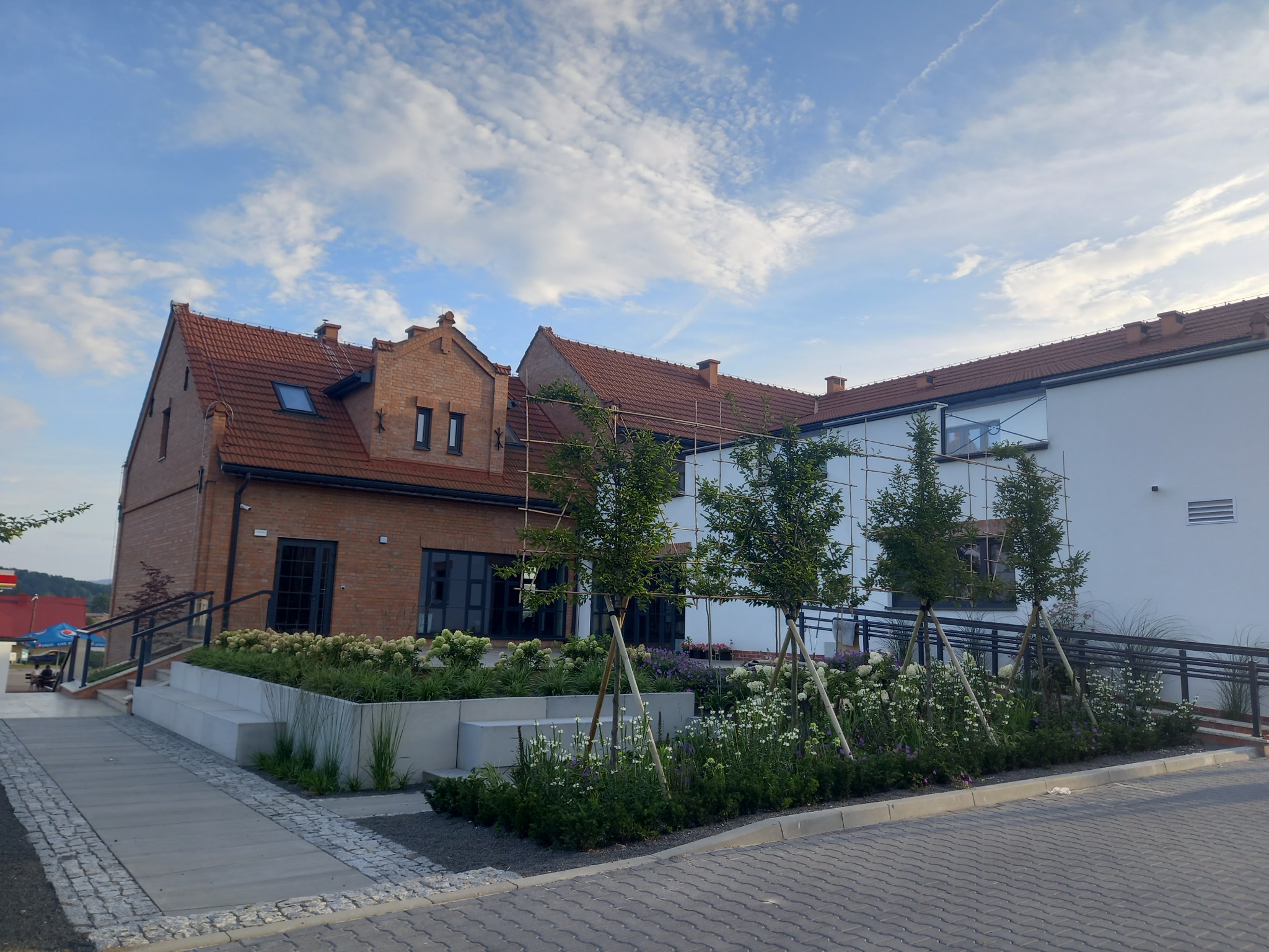 Nowoczesny ogród przy budynku z cegły i białej elewacji. Geometryczne rabaty z białymi kwiatami, młodymi drzewkami i chodnikiem z kostki.