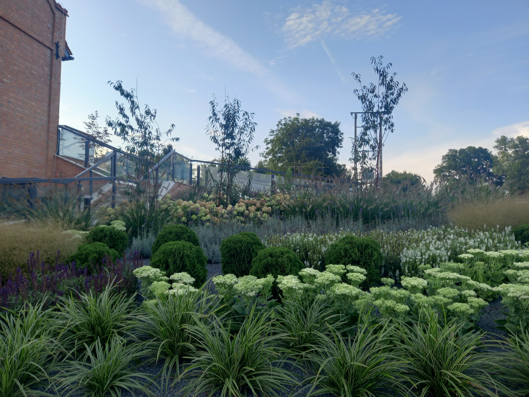 Kaskadowy ogród z ozdobnymi trawami, kulistymi krzewami i kwitnącymi bylinami na tle nowoczesnej architektury i błękitnego nieba z delikatnymi obłokami.