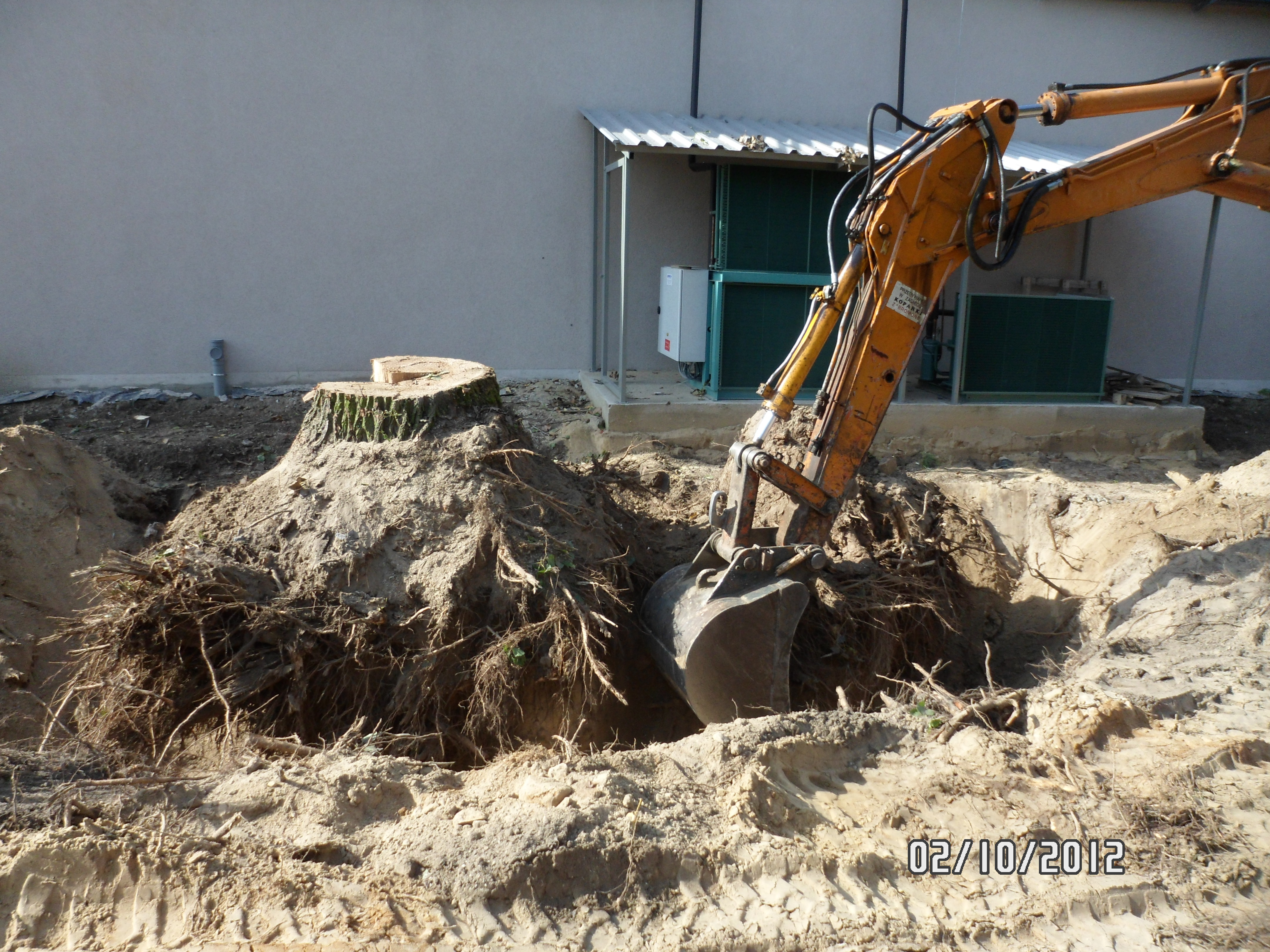 Żółta koparka podczas usuwania pnia drzewa z korzeniami; widoczny wykopany dół i fragment budynku w tle.