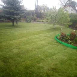 Rozległy trawnik z widocznymi pasami po koszeniu, z drzewami i rabatą kwiatową z zielonym obrzeżem, częściowo zasłonięty przez otwarte drzwi białego vana.