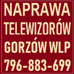 Serwis Naprawa Telewizorów Gorzów Wielkopolski w domu Klienta.