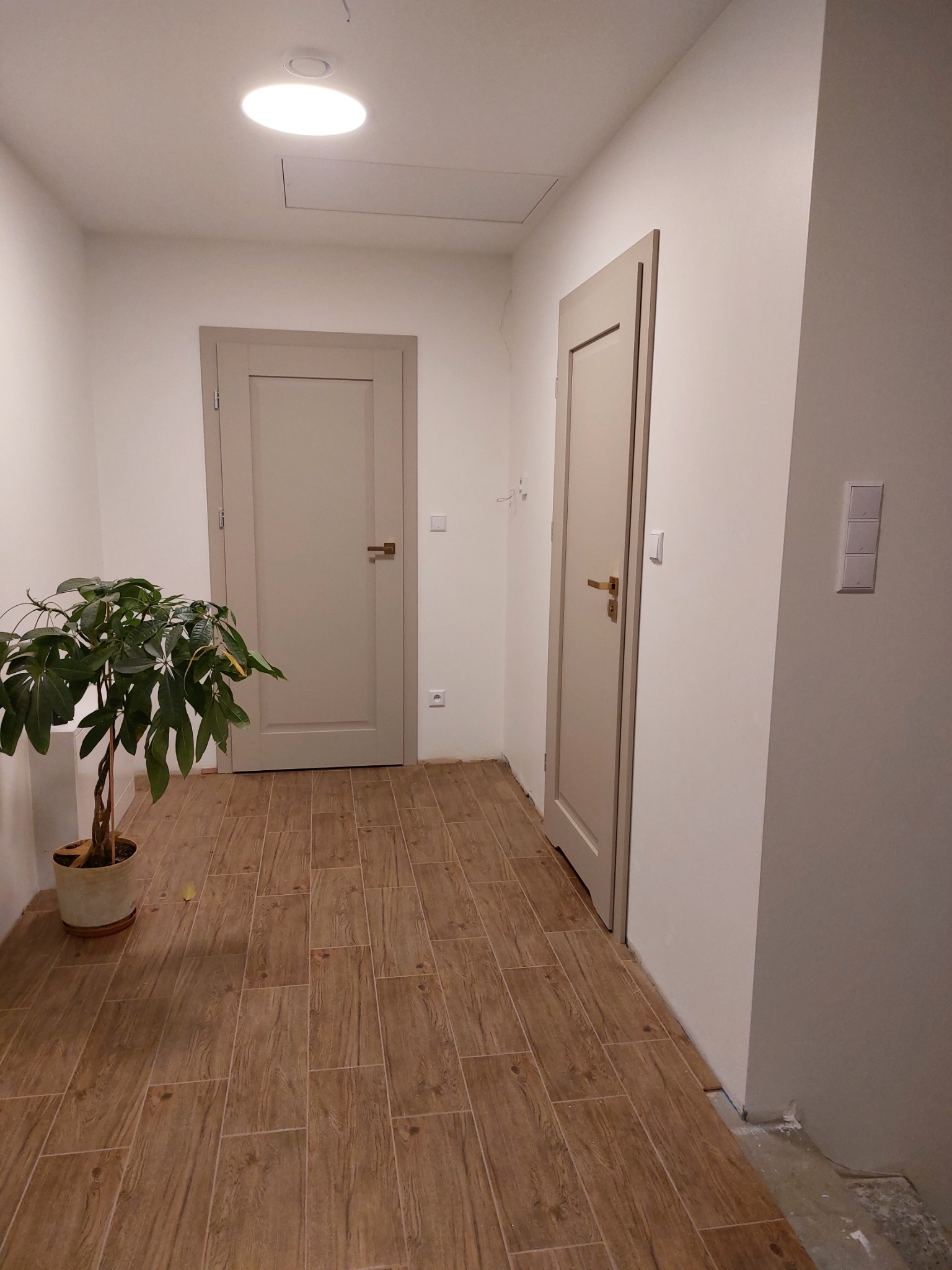 Dwa skrzydła drzwiowe wewnątrz jasnego korytarza z podłogą imitującą drewno, widoczny kwiat doniczkowy i włączniki światła