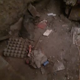 izabela zaCLEANzaczka - Doświadczony Ogrodnik Sucha Beskidzka