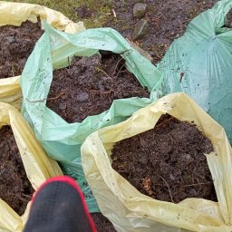 JUŻ w PORZĄDKU - Worki wypełnione ziemią i resztkami roślinnymi, prawdopodobnie po pracach ogrodniczych. Widoczne buty i rękawice sugerują etap porządkowania terenu.