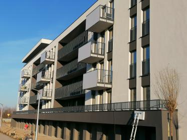 Building Sp. z o. o. - Malowanie elewacji Kalisz