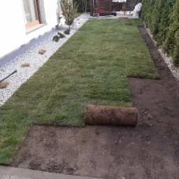 Rozkładanie rolki trawy na przygotowanym podłożu w ogrodzie przydomowym, widoczna część ułożonej trawy i biały żwir wzdłuż ściany domu.