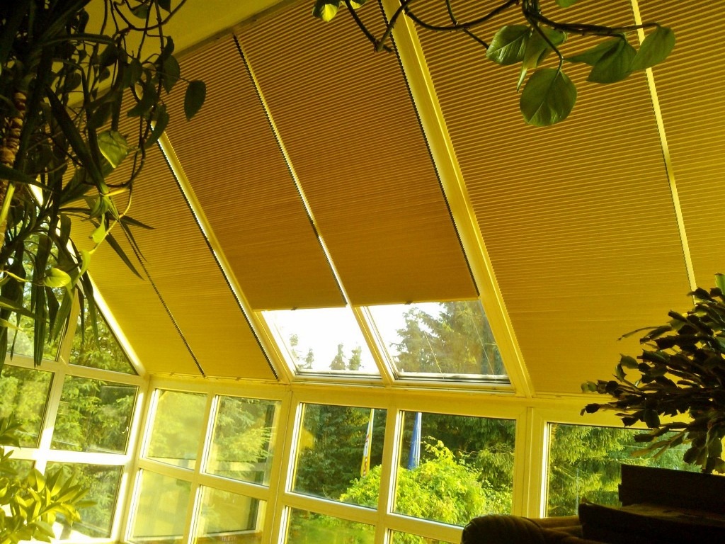 Plisy PB 10 do ogrodów zimowych