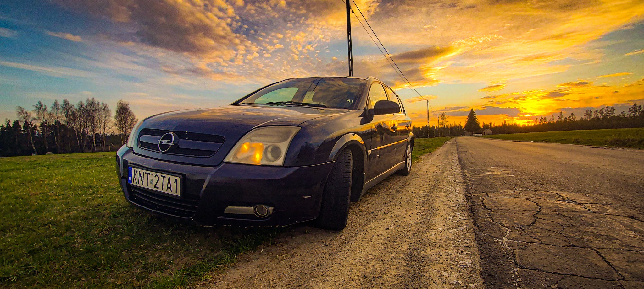 Niezaspokojony Signum CDTI 150km