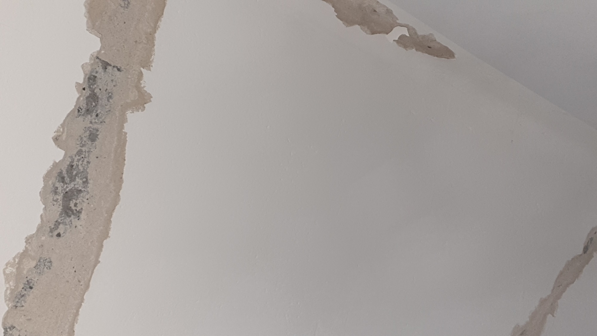 Odkryta warstwa tynku i surowy beton na ścianie w trakcie przygotowań do prac wykończeniowych.