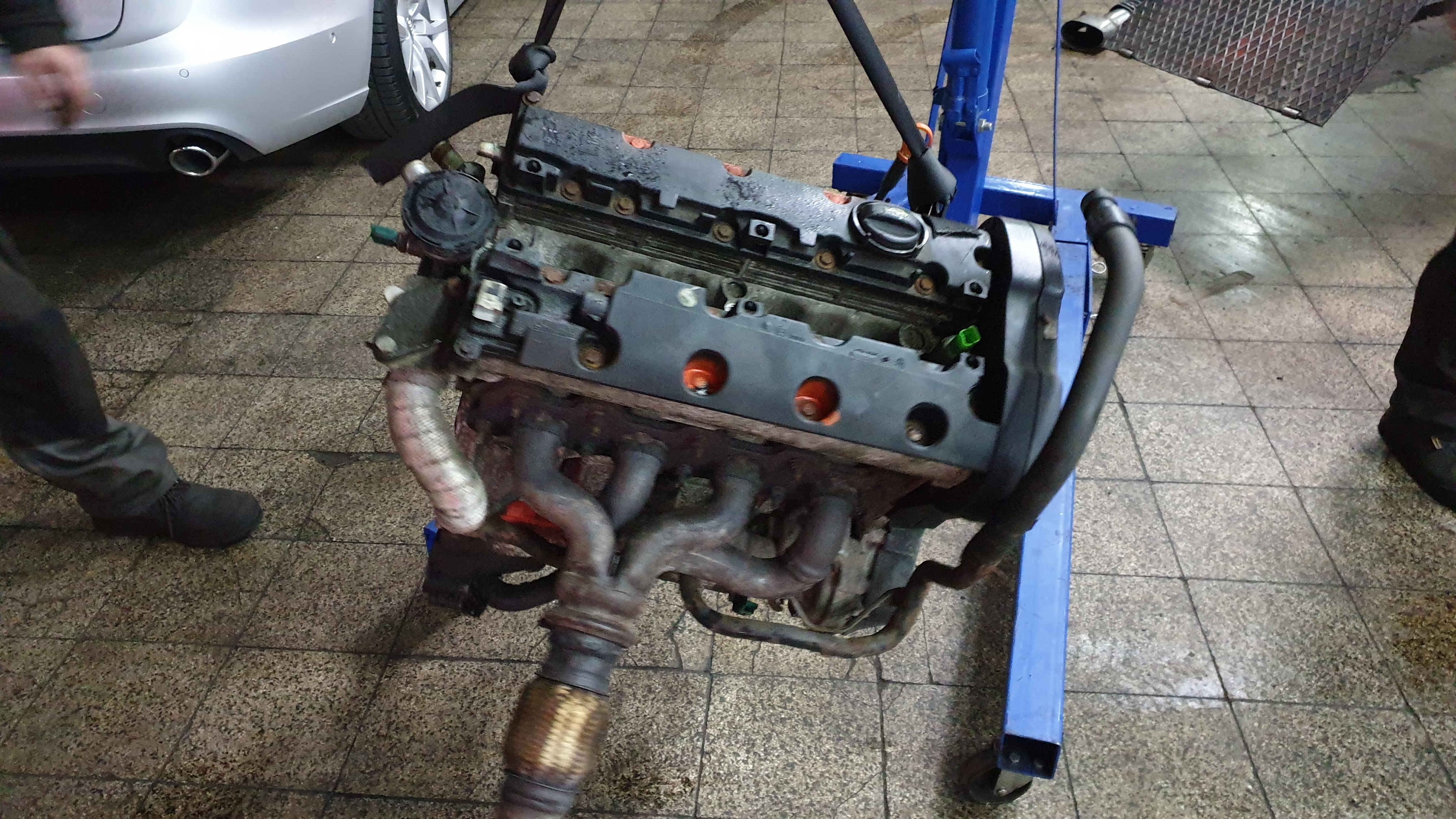 Zdemontowany silnik samochodowy zawieszony na niebieskim stojaku warsztatowym, widoczne kolektory wydechowe, głowica i część bloku silnika, tło stanowi podłoga warsztatu i fragment nadkola...