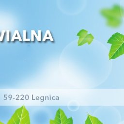 CZYSTE CIEPŁO System - Legnica - Klimatyzacja Legnica
