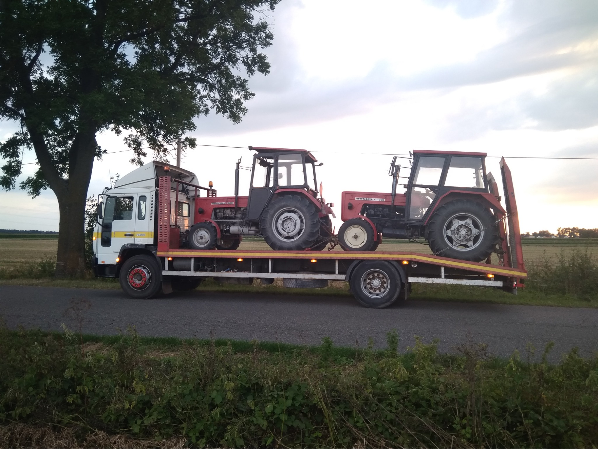 Ciężarówka transportuje dwa czerwone traktory Ursus C-360 na niskopodwoziowej platformie. Widok z boku, drzewo po lewej, pole w tle.