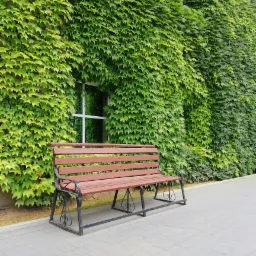 Drewniana ławka parkowa z metalowymi zdobieniami stoi na chodniku z kostki brukowej na tle ściany budynku porośniętej gęstym bluszczem, częściowo zasłaniającym okno.