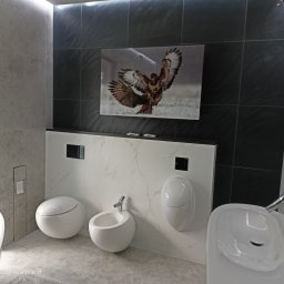 Glazurnik Myszków 4