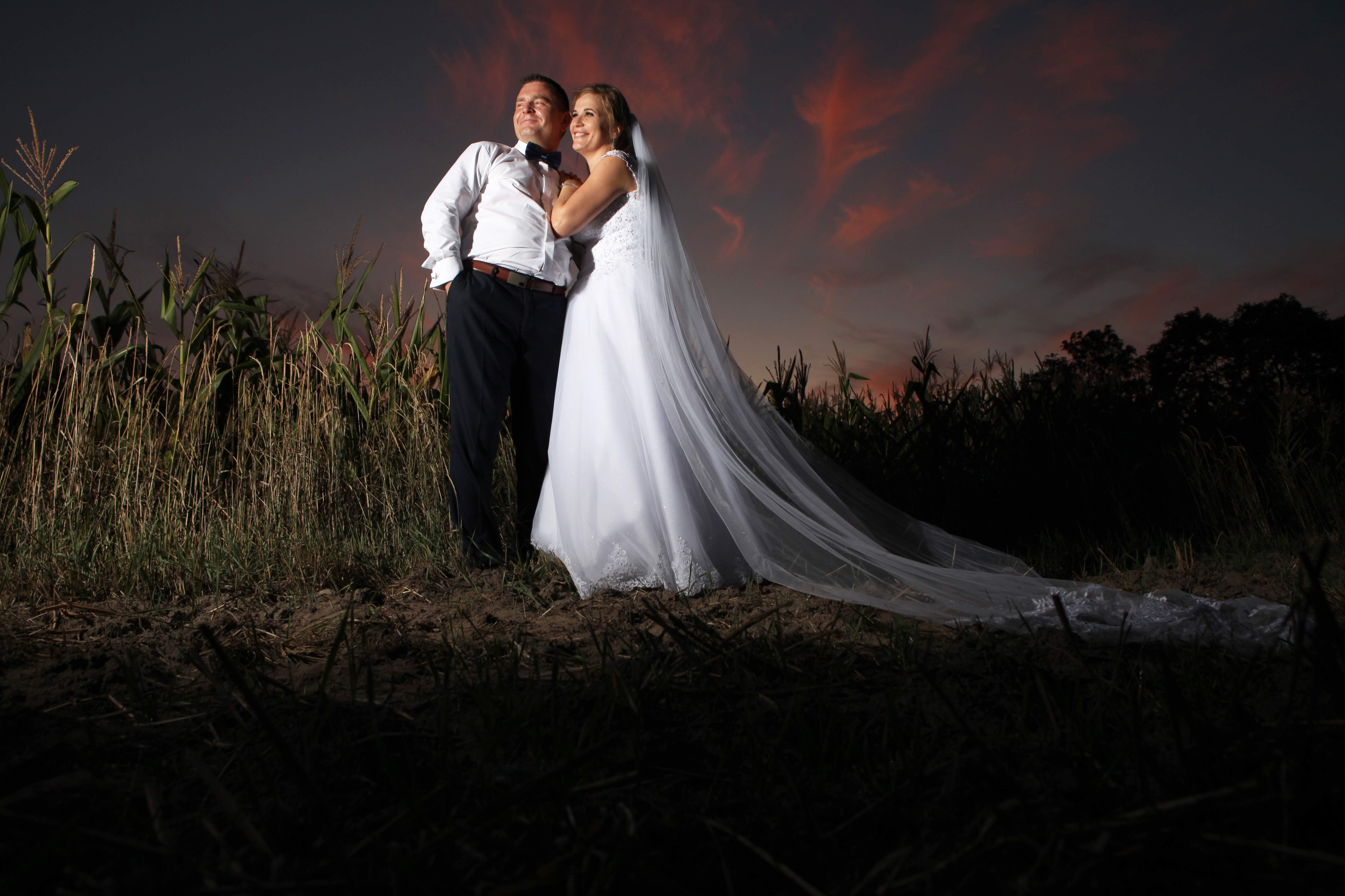 Para młoda w plenerze na tle zachodzącego słońca z kukurydzą w tle, panna młoda w białej sukni z długim welonem, pan młody w białej koszuli i czarnych spodniach z muszką.