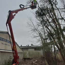FIRMA USŁUGOWO-HANDLOWA DOMAC DOMINIKA PILARSKA MACIEJ GRZESIAK S.C. - Pracownik w żółtej kamizelce, w koszu podnośnika teleskopowego, przycina gałęzie drzewa. Na ziemi leżą odcięte gałęzie, a w tle widoczny budynek.