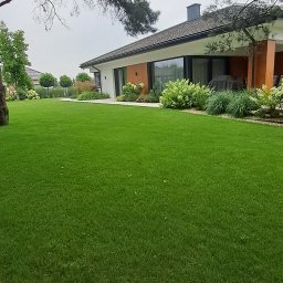 Wycinka drzew Osielsko 1