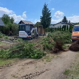 Wycinka drzew Osielsko 2