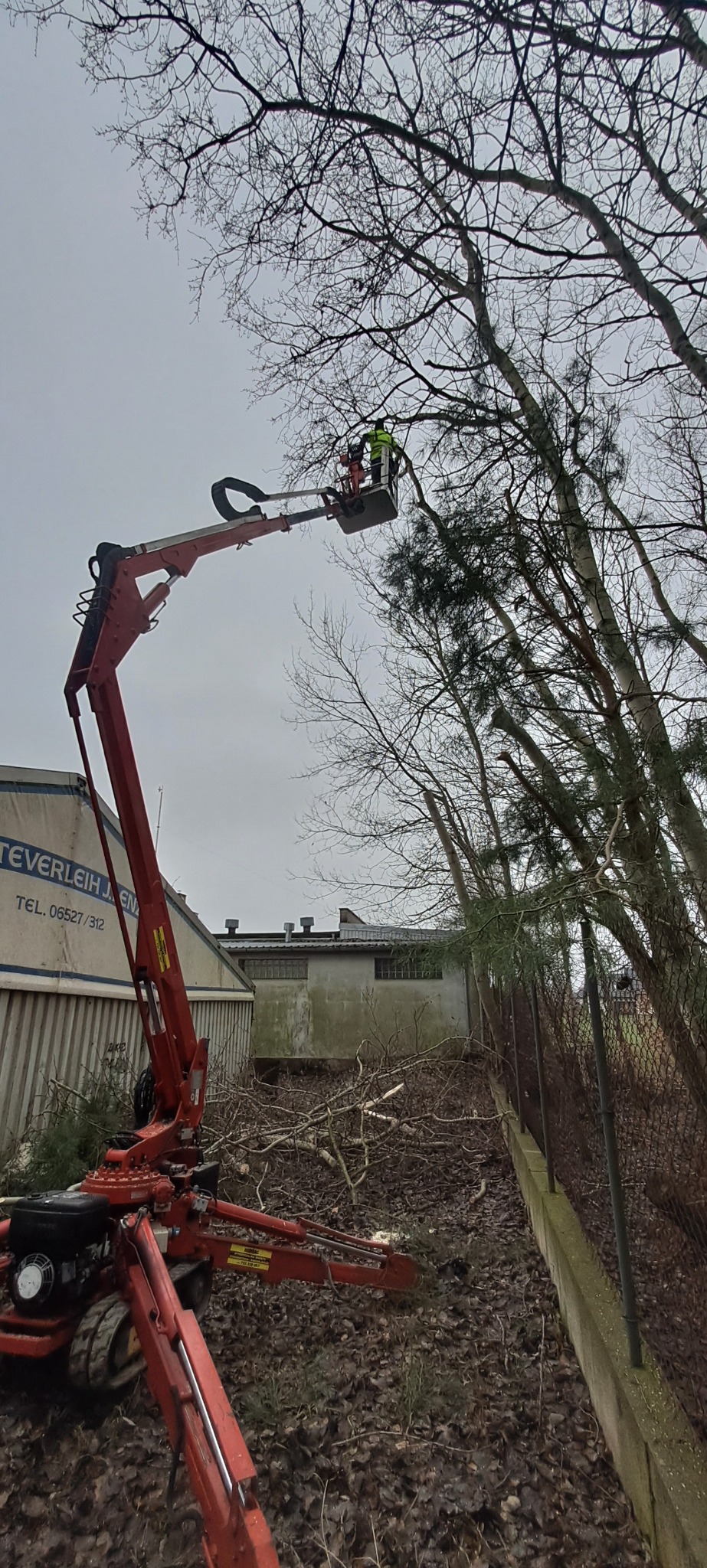 Pracownik w żółtej kamizelce, w koszu podnośnika teleskopowego, przycina gałęzie drzewa. Na ziemi leżą odcięte gałęzie, a w tle widoczny budynek.