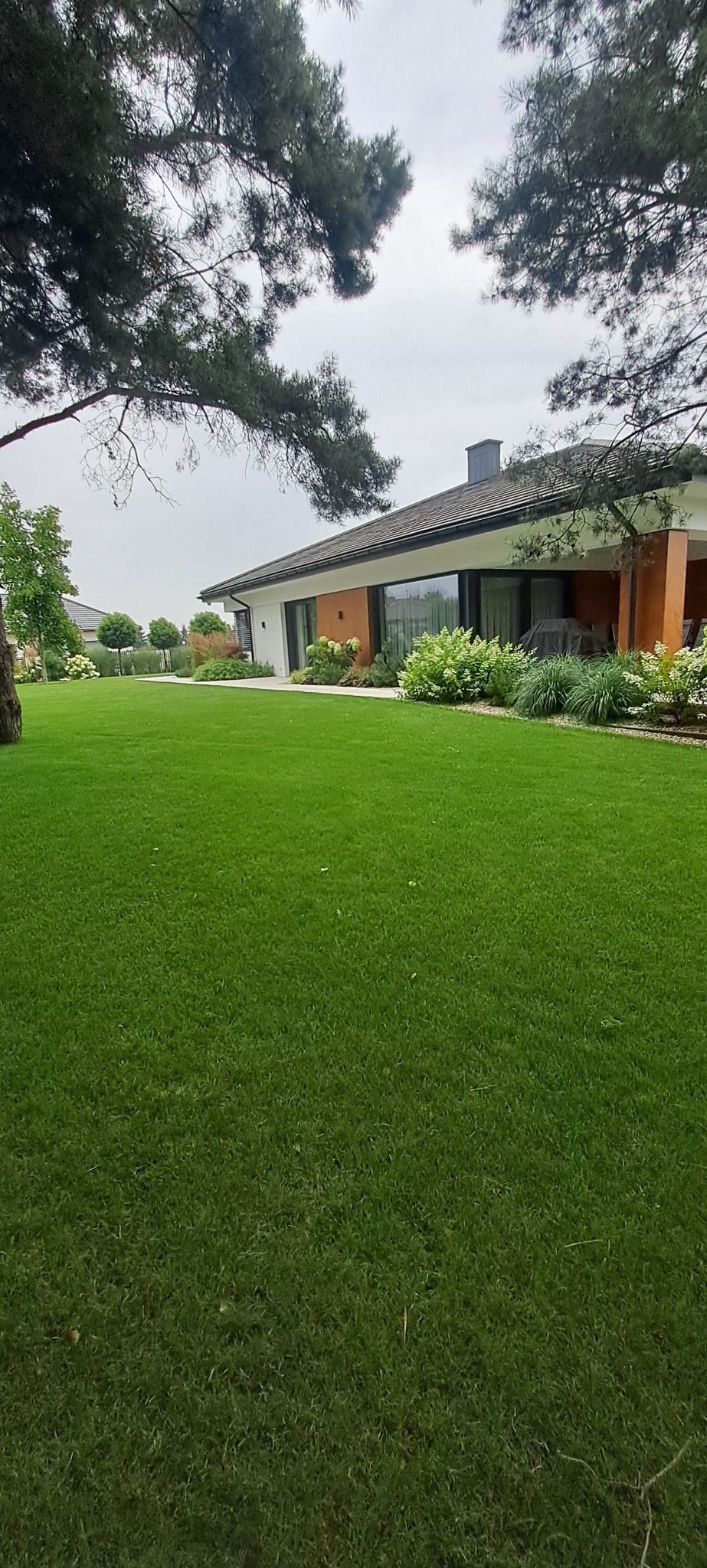 Perfekcyjnie utrzymany trawnik przed nowoczesnym domem z dużymi oknami, widoczne krzewy ozdobne i drzewa iglaste, pochmurne niebo.