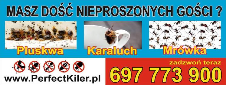 Perfect Kiler - Usuwanie Gniazd Os Warszawa
