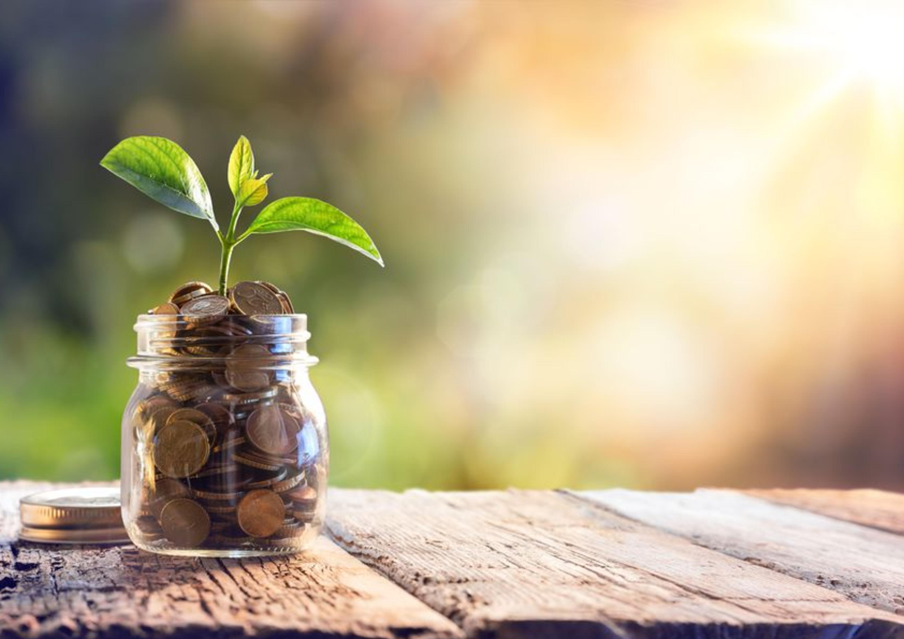 Szklany słoik wypełniony monetami z wyrastającą zieloną sadzonką, leżący na drewnianym stole z rozmytym, słonecznym tłem.