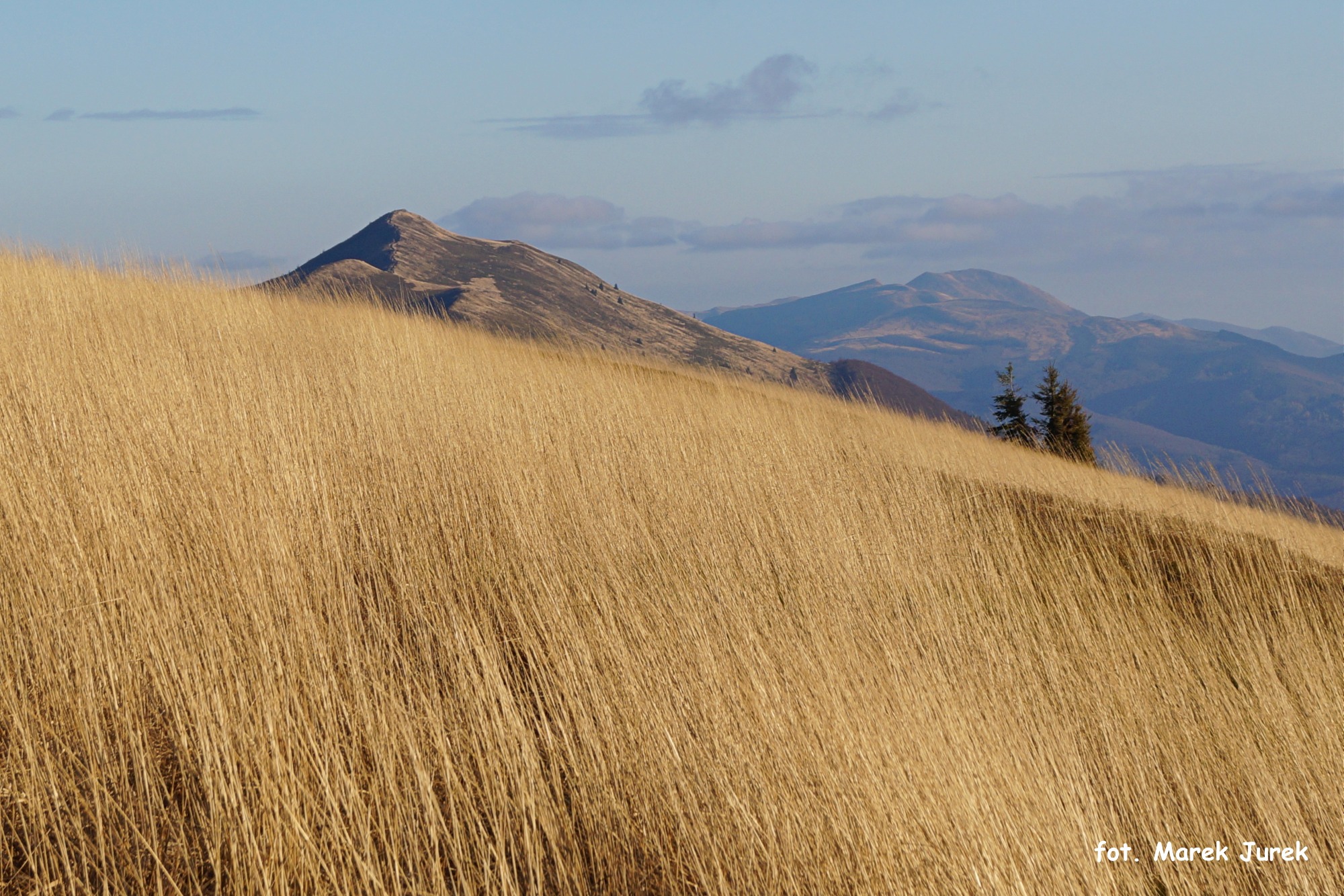 Jesienne trawy na zboczu góry z widokiem na odległe szczyty w delikatnej, porannej mgle.