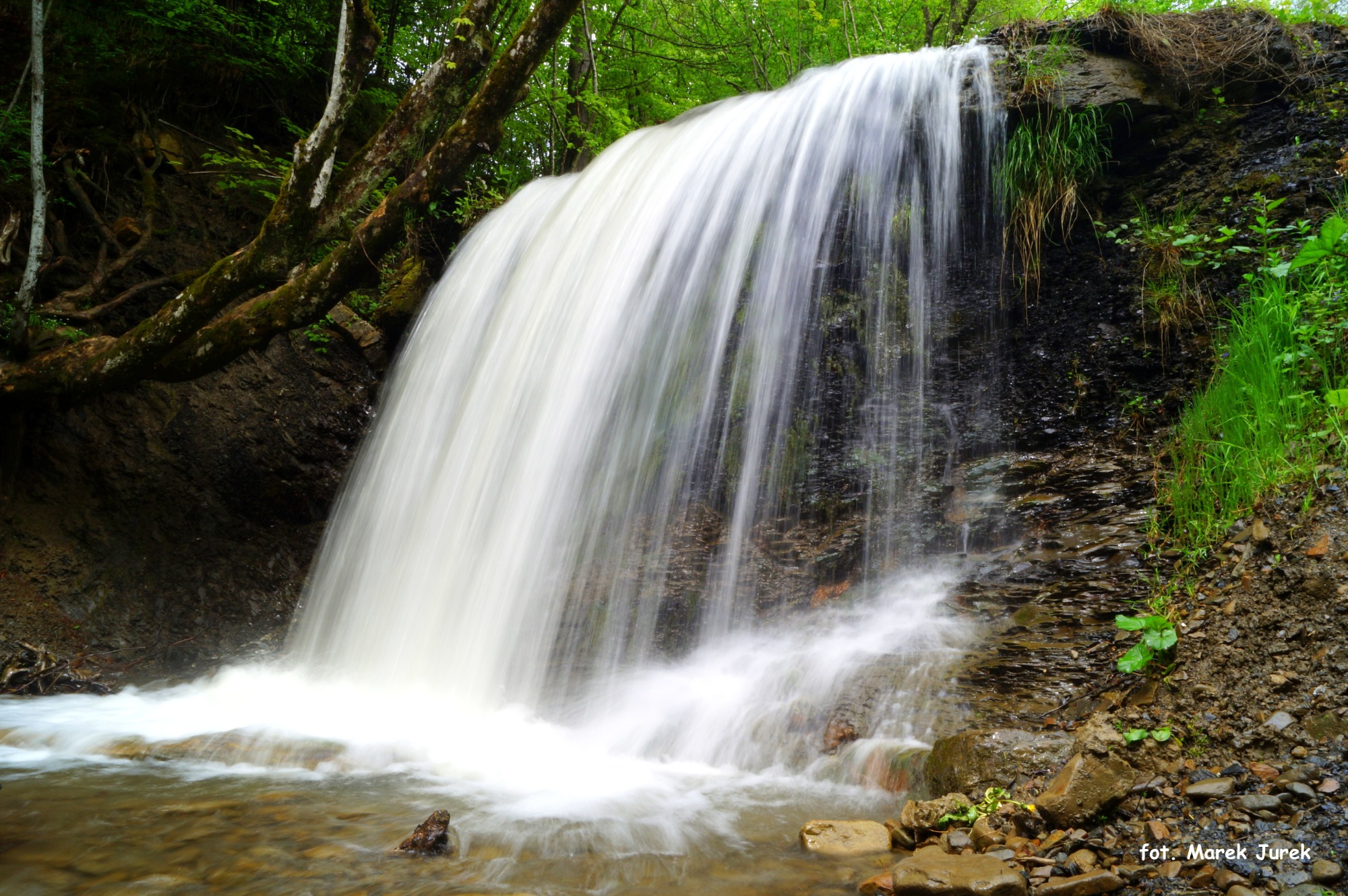 Malowniczy wodospad spływający po skalnej ścianie porośniętej zielenią, z powalonym drzewem z mchem w górnej części kadru.