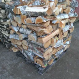 Ułożone na palecie, porąbane kawałki drewna brzozowego z widoczną korą i jasnym drewnem, przygotowane do sezonowania.