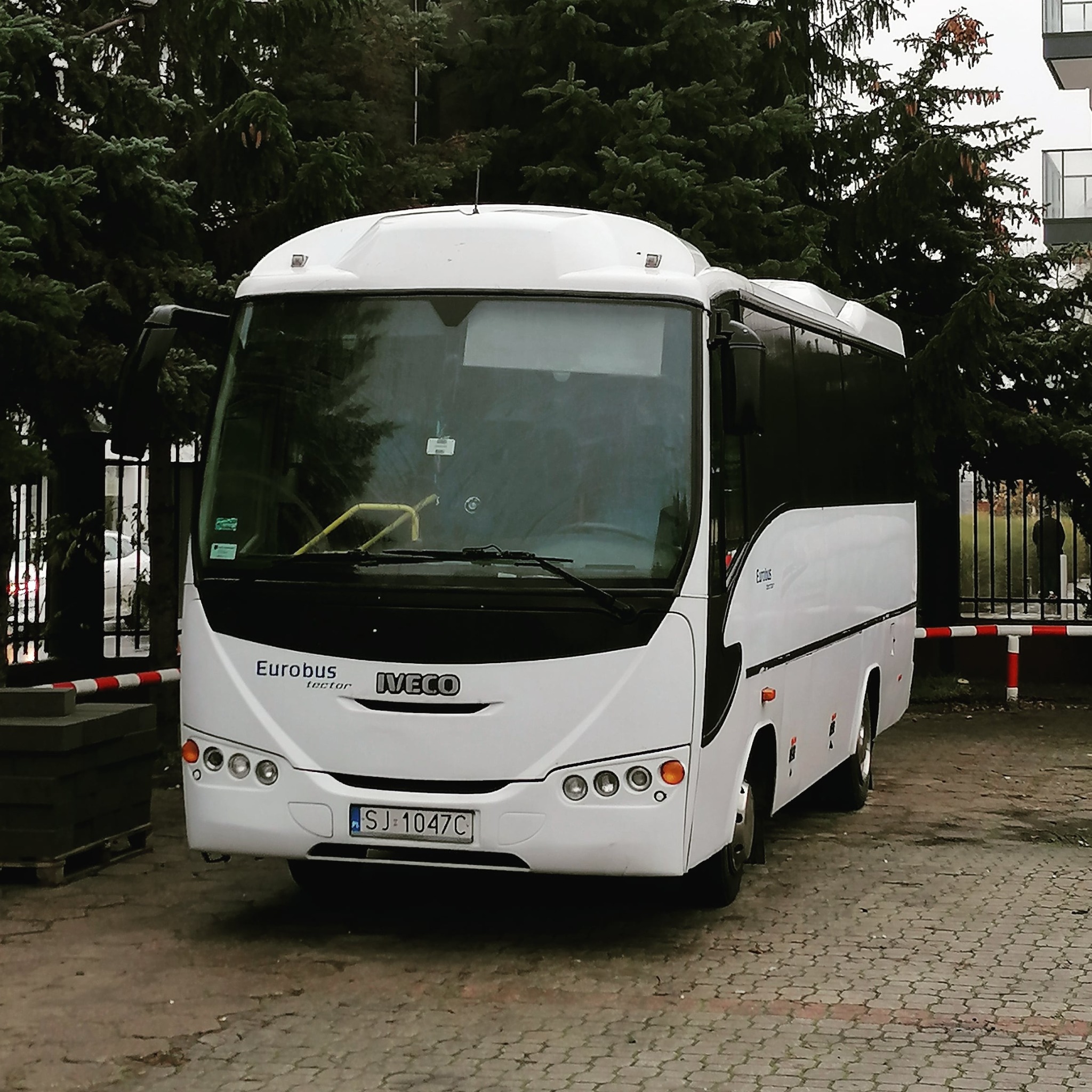 Biały autobus Eurobus Iveco Tector zaparkowany na brukowanym placu przed zielonymi drzewami i budynkiem mieszkalnym, widoczna tablica rejestracyjna.