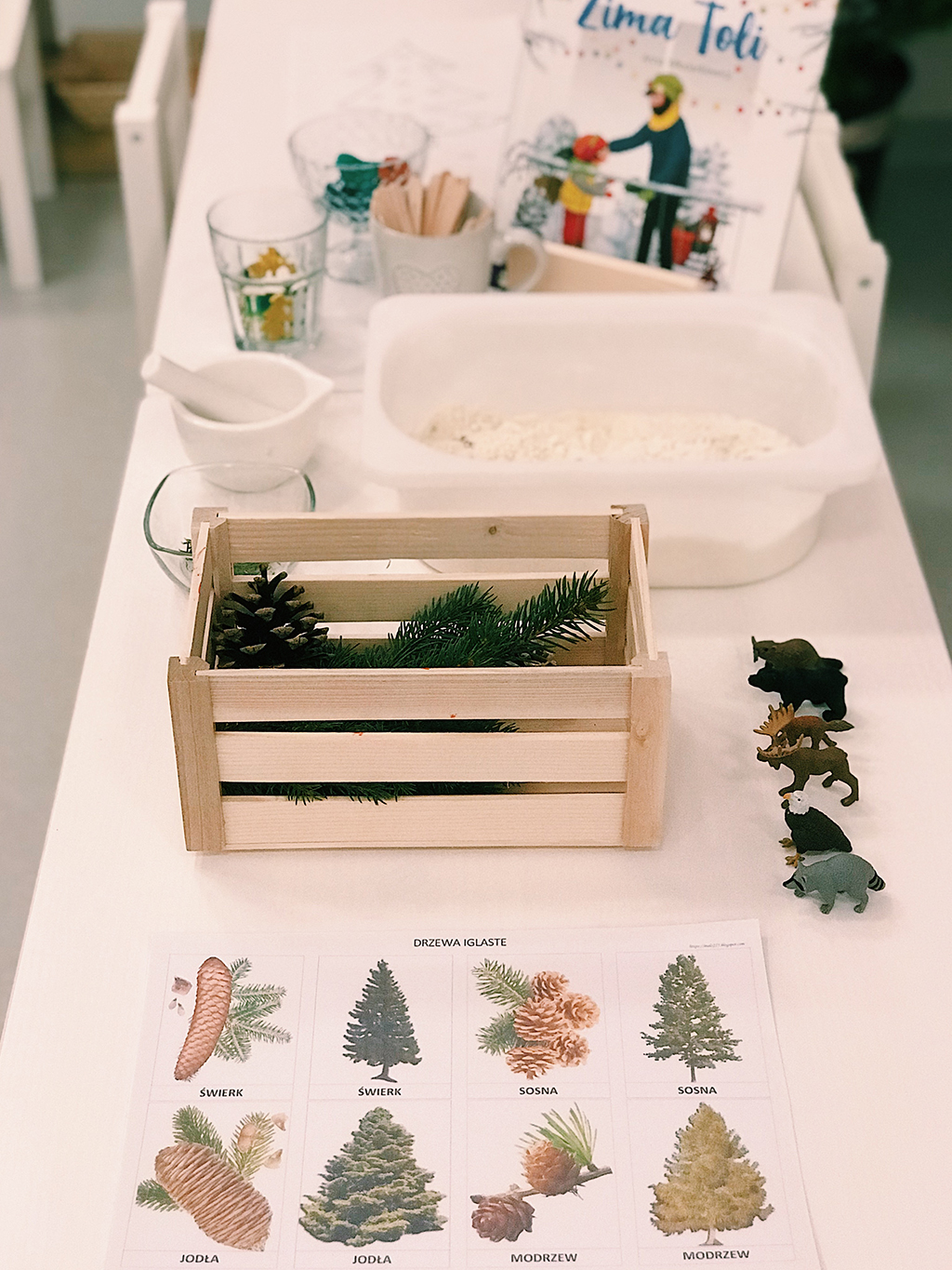 Stół z materiałami do sensorycznej zabawy: drewniana skrzynka z gałązkami i szyszką, figurki zwierząt, karta edukacyjna z drzewami iglastymi, naczynia i książka 'Zima Toli'.