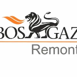 Logo firmy BOSGAZ Remonty z wizerunkiem lwa z płomieniami zamiast grzywy.