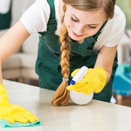 Sprzątanie mieszkań Myszków 2