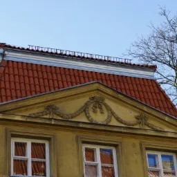 Dachówka mnich-mniszka, Ministerstwo Zdrowia