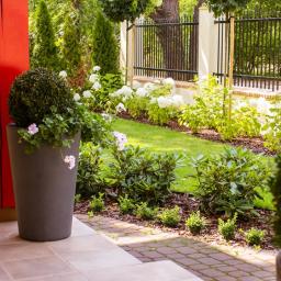 Piękny ogród frontowy