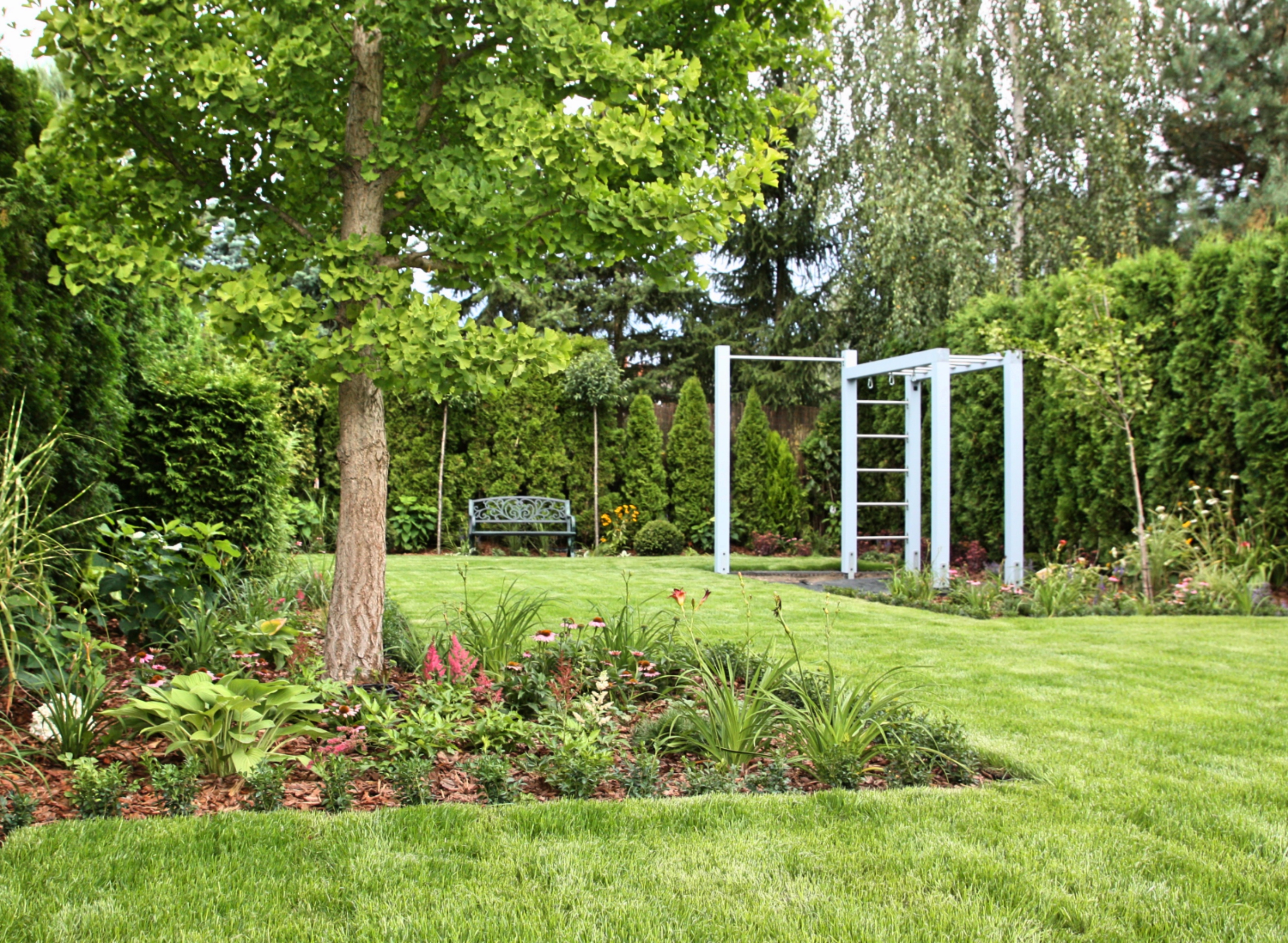 fitness i joga w ogrodzie