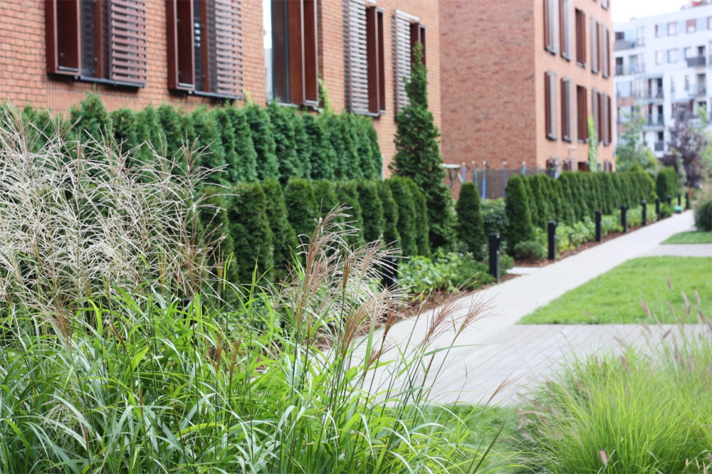 Architektura krajobrazu na osiedlu