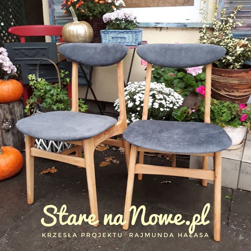 Dwa odnowione krzesła projektu Rajmunda Hałasa z szarym tapicerowanym siedziskiem, na tle jesiennej dekoracji z dyniami i kwiatami.