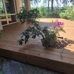 Drew-Tech Technikum Drewna - Jasny, drewniany taras z roślinami wbudowanymi w deskach, obok domu i ogrodu. Widoczne deski tarasowe, rośliny ozdobne, fragment elewacji. Słoneczny dzień.